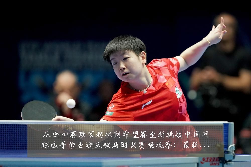 从巡回赛跌宕起伏到希望赛全新挑战中国网球选手能否迎来破局时刻赛场观察:最新赛事动态与深度分析